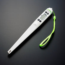 Digital Food Thermometer - 21cm (8.25 in)
