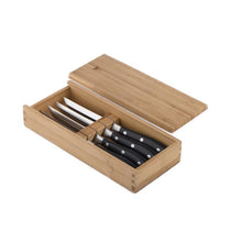 Classic Steak Knives Set of 4 with Riveted Plastic Handle