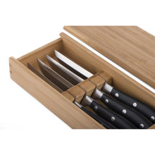 Classic Steak Knives Set of 4 with Riveted Plastic Handle