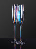 Champagne Flutes Set of 2 (270mL)