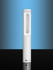 Rechargeable Disinfection Lamp (White)
