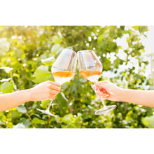 Red Wine Glass Set of 2 (450mL)