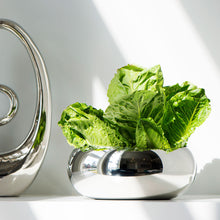 Moda Salad Bowl Set